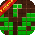 Forest Block<br> Puzzle Extreme