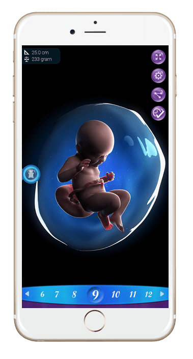 android and ios app development company