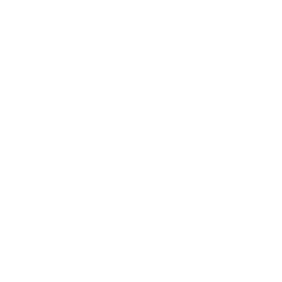 Security Audit & Mainnet Deployment