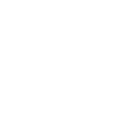 Testnet Deployment & Integration Testing