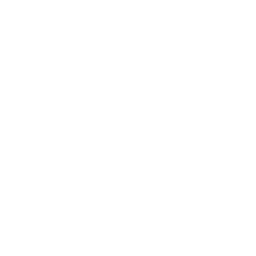 Enterprise Knowledge Management